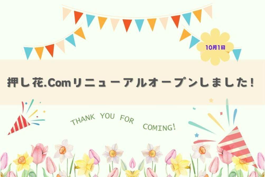 日本ヴォーグ社 ふしぎな花倶楽部 ＊ oshibana.com ＊