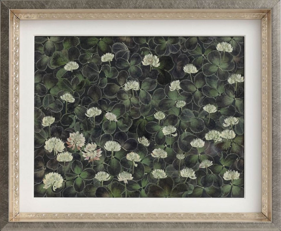押し花NIPPON大賞 | ふしぎな花倶楽部