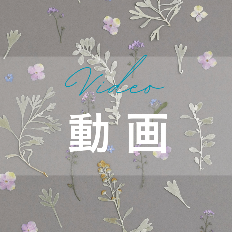 カタログ・教材