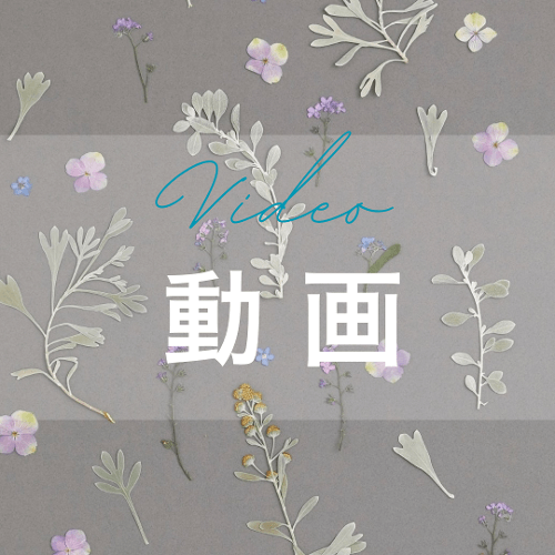 押し花専用額 押し花アート 不思議な花倶楽部 竹 和風額 花カゴ 押し花アート額 ふしぎな花倶楽部 49フローラルシルバー額